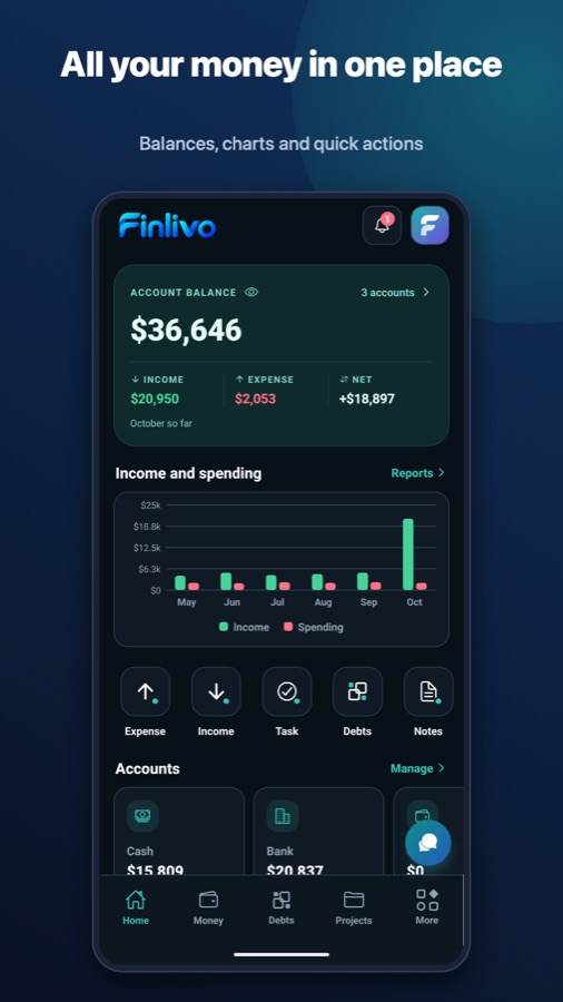 Finlivo home: balance, income and spending