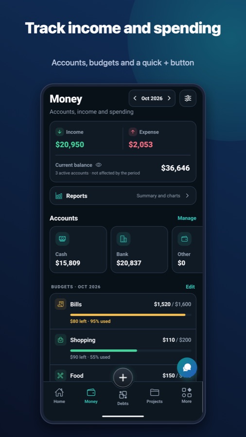 Finlivo money: income and expenses